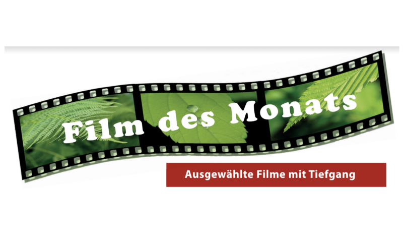 Programm der Reihe „Film des Monats“